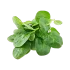 Island Green